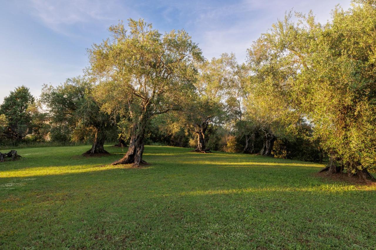 Triklino Estate Villa Afra ภายนอก รูปภาพ